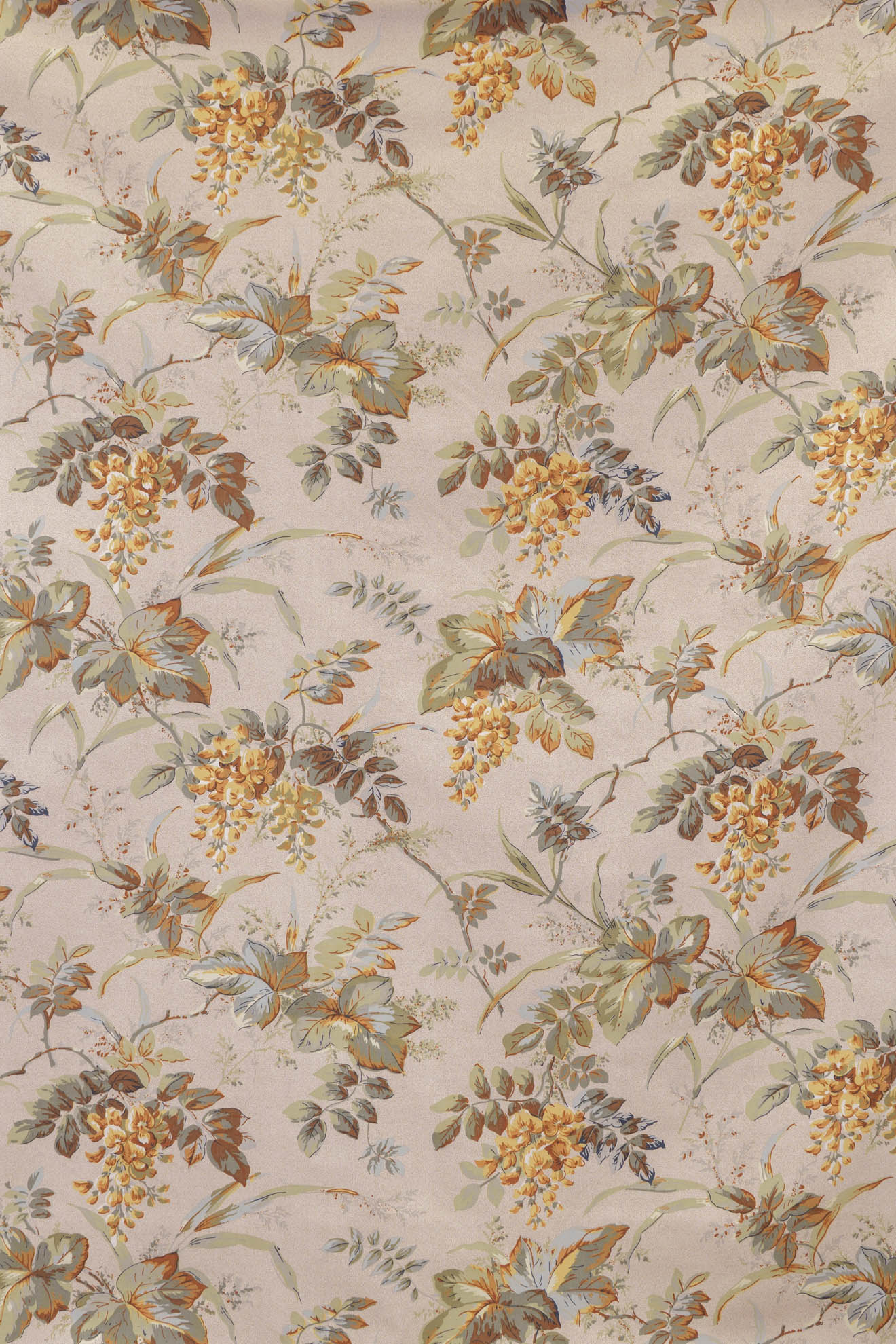 jm-1205 nutmeg_WISTERIA