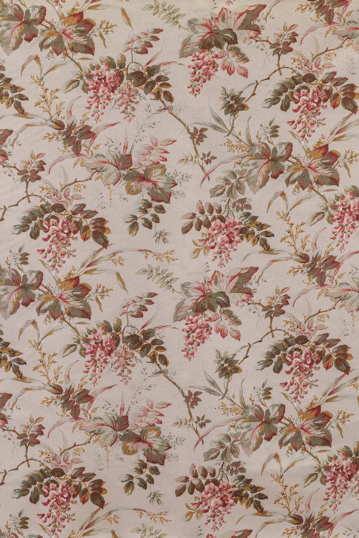jm-1204 rose_WISTERIA