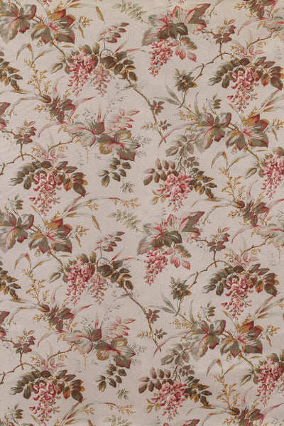 jm-1204 rose_WISTERIA