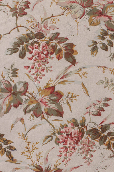 jm-1204 rose_WISTERIA