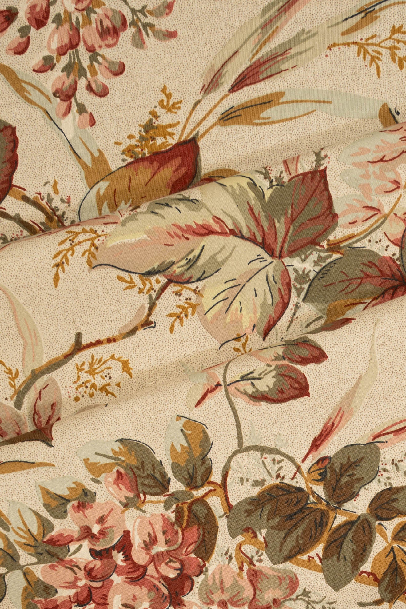 jm-1204 rose_WISTERIA