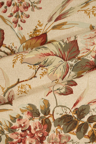 jm-1204 rose_WISTERIA