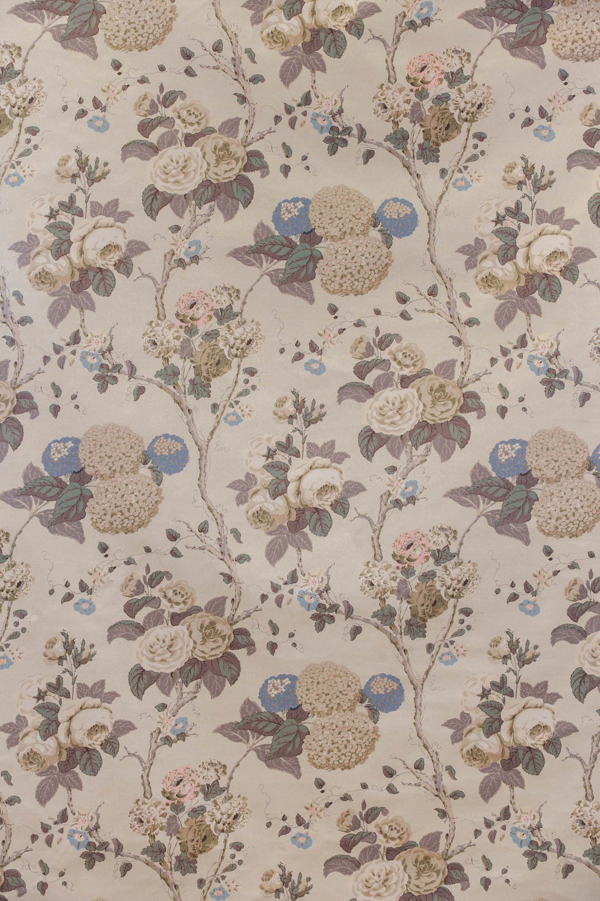 jm-769 coffee/fawn_HYDRANGEA & ROSE