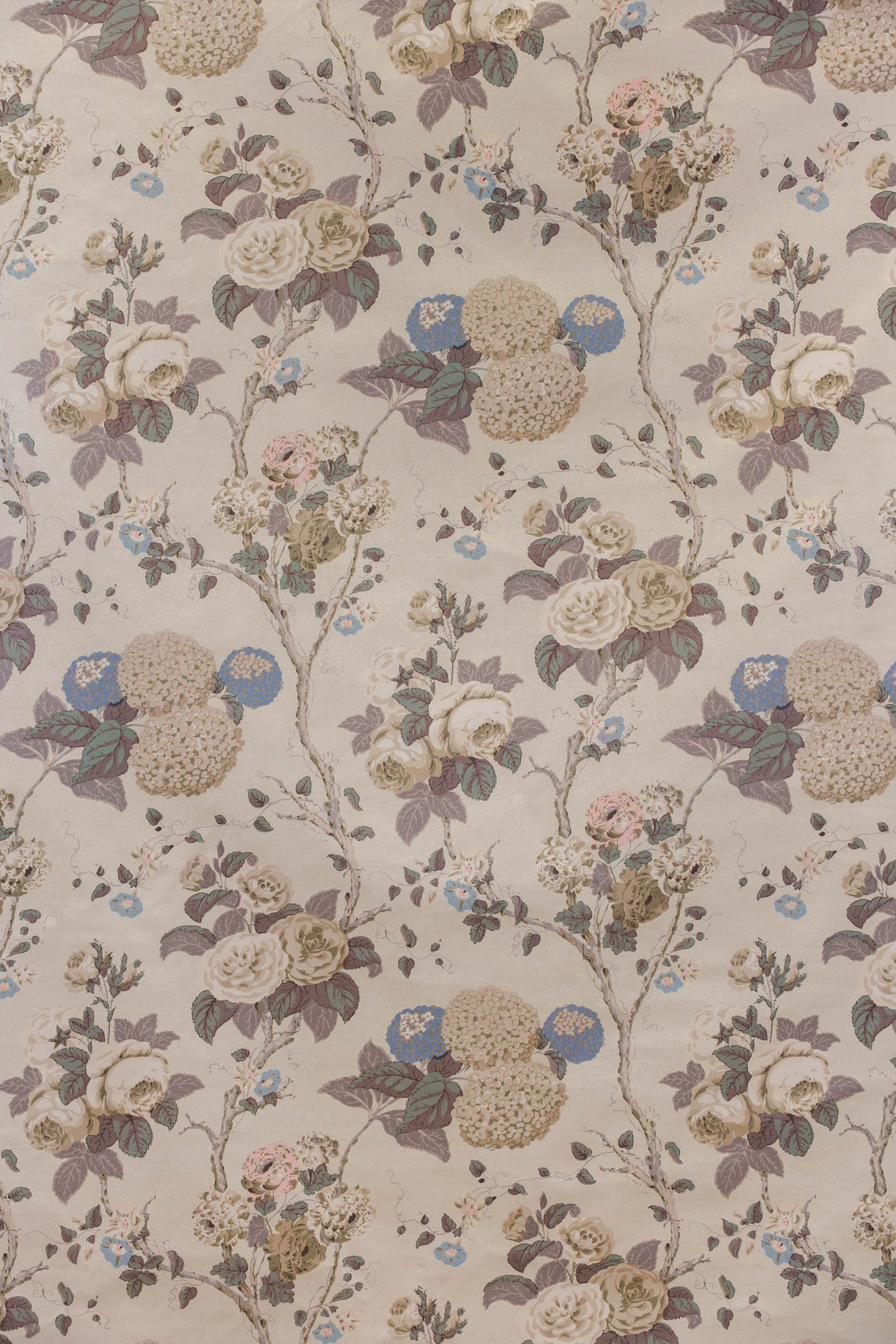 jm-769 coffee/fawn_HYDRANGEA & ROSE