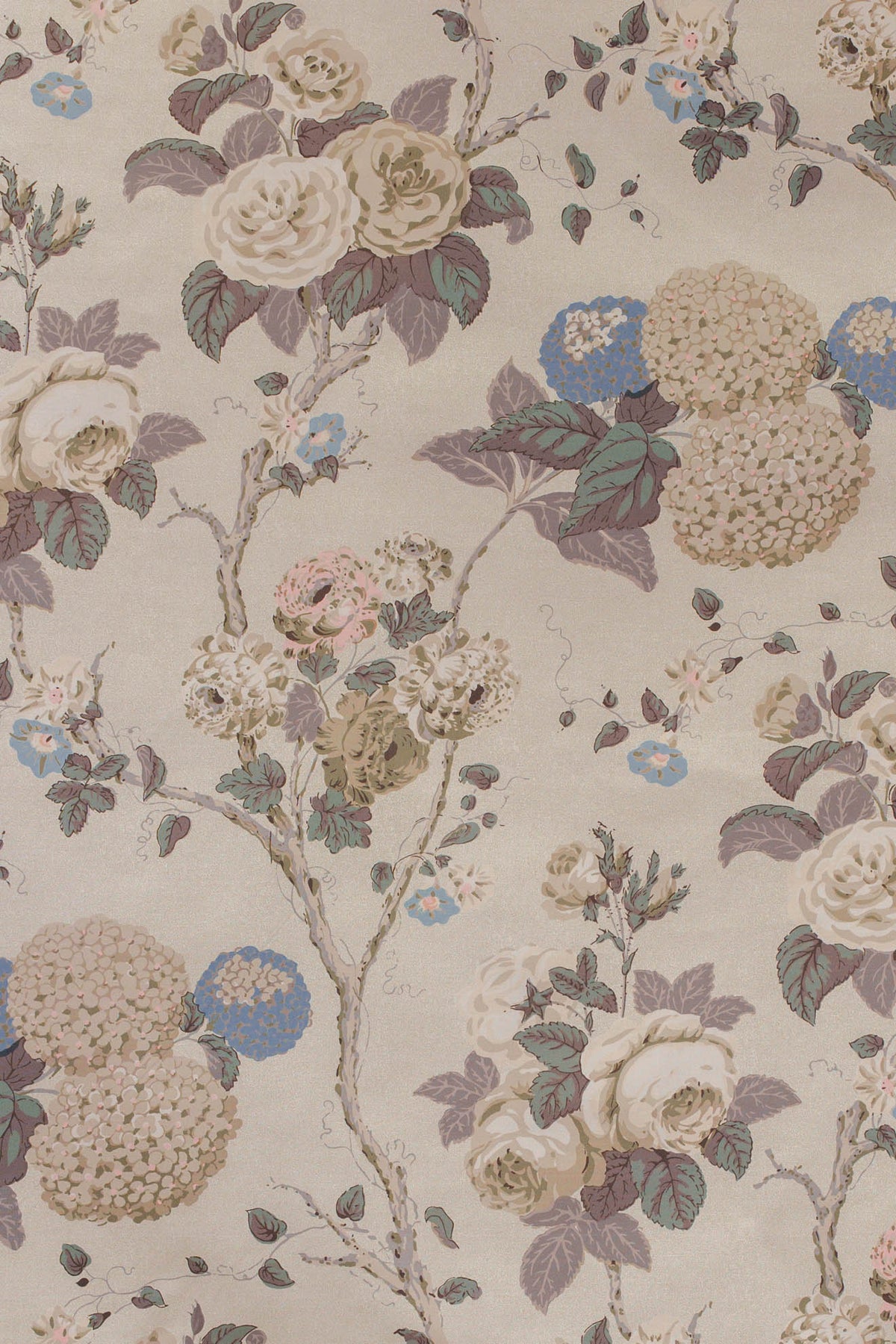 jm-769 coffee/fawn_HYDRANGEA & ROSE