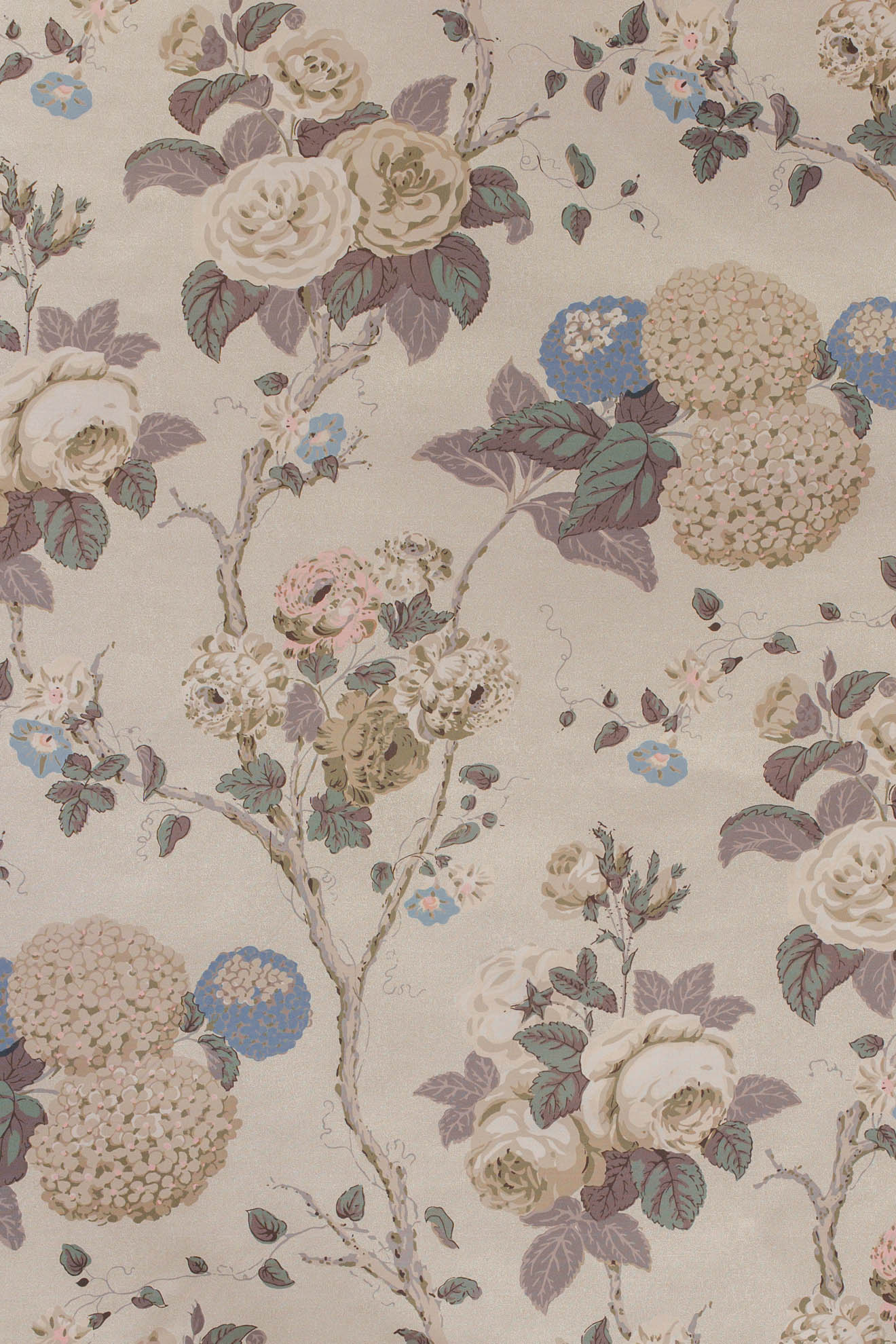 jm-769 coffee/fawn_HYDRANGEA & ROSE