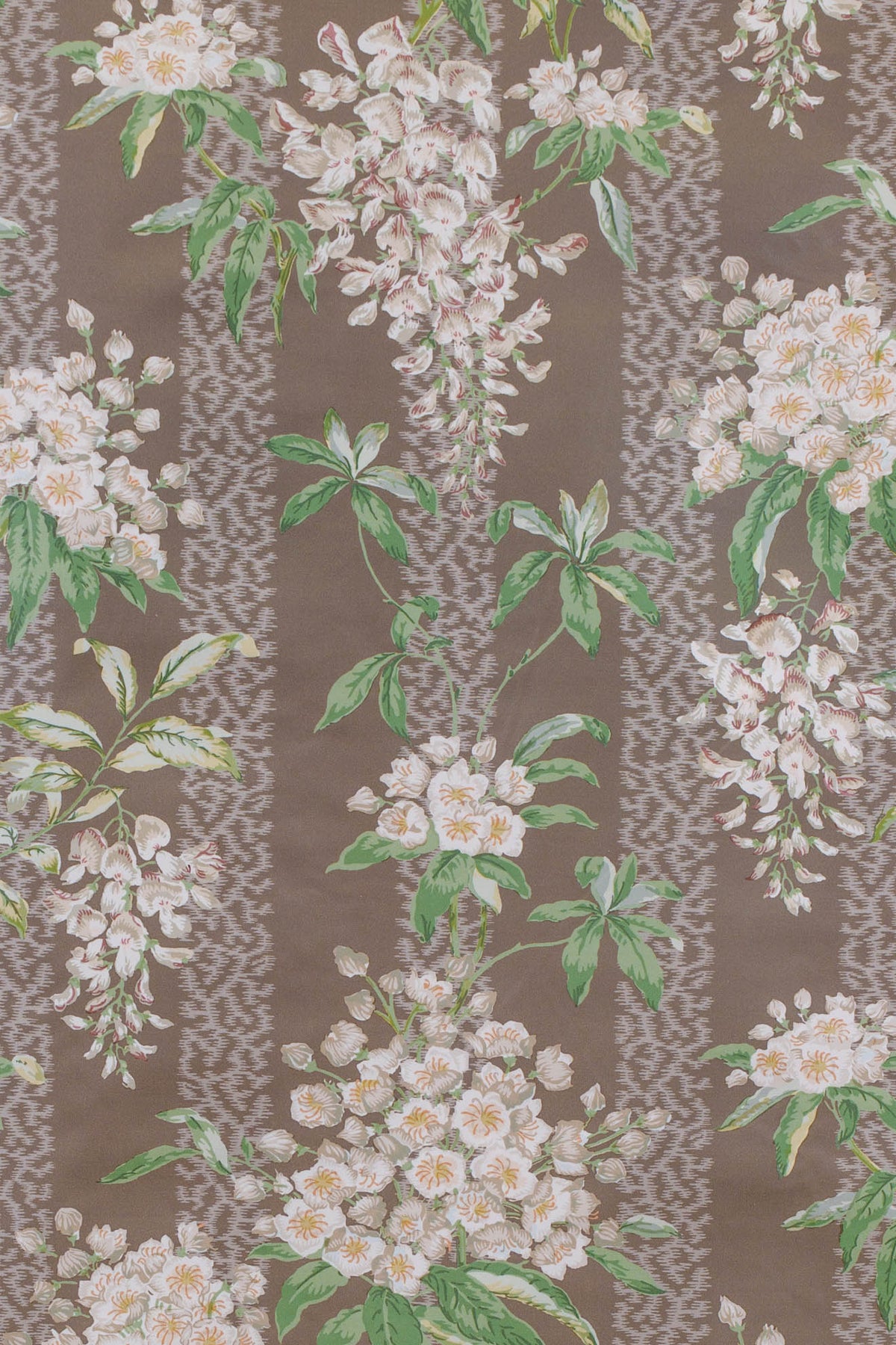 mocha_LA GLYCINE