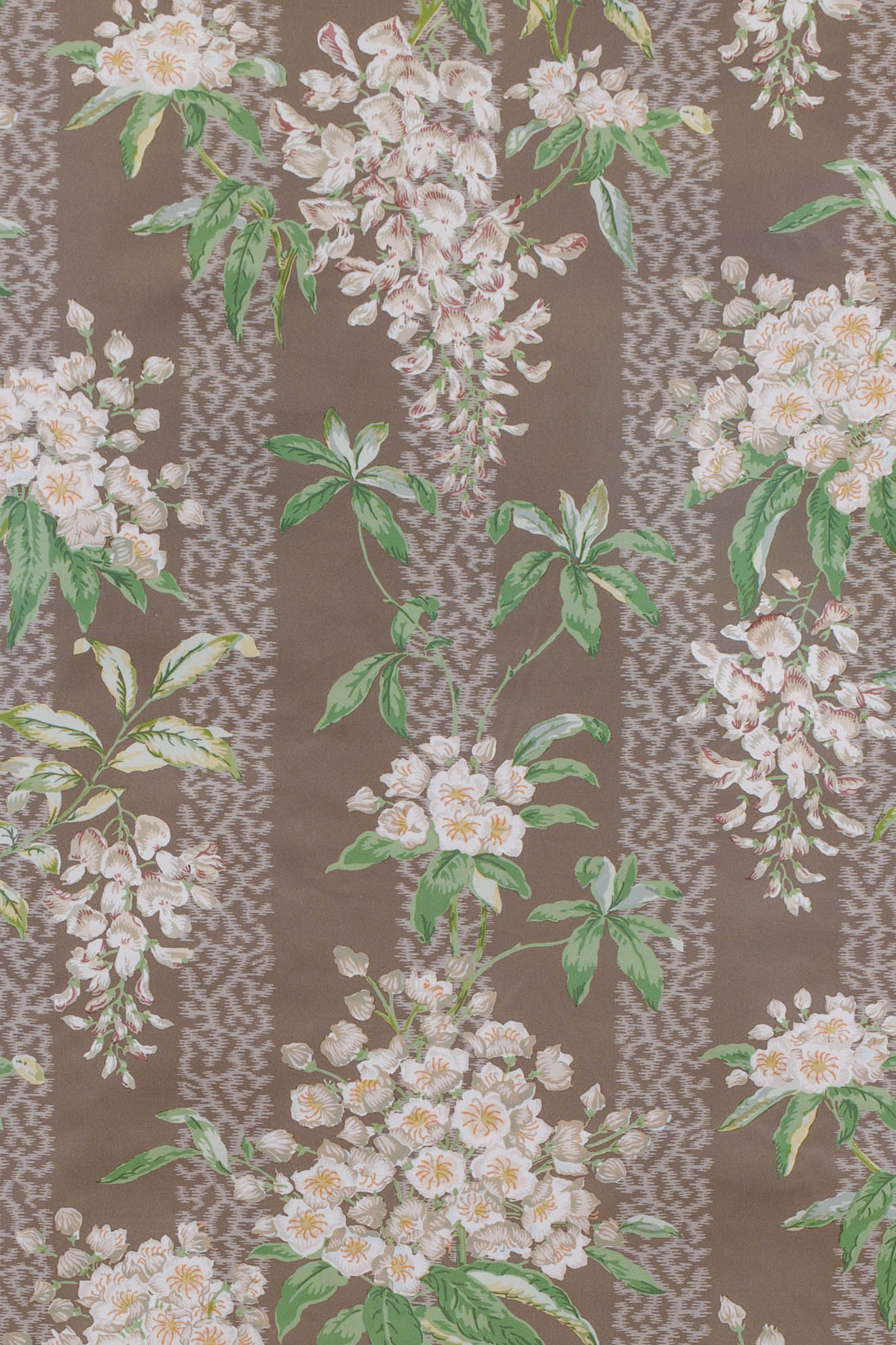 mocha_LA GLYCINE