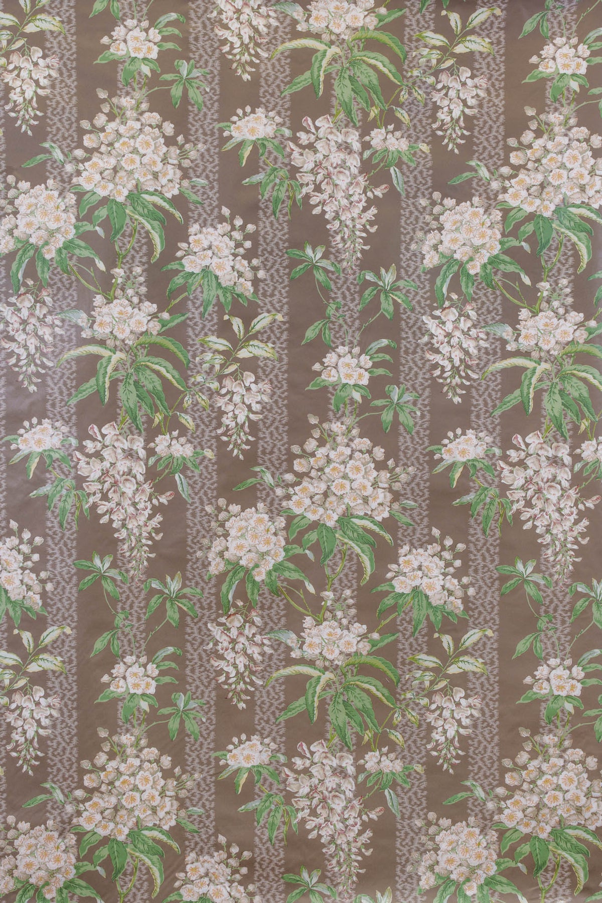 mocha_LA GLYCINE