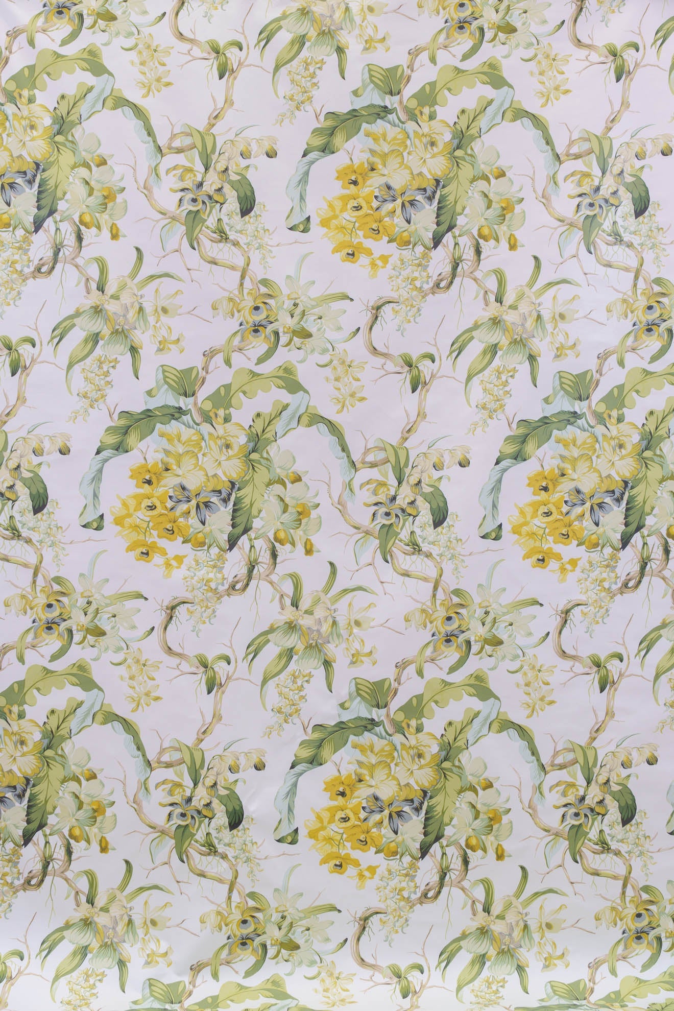 jm-1061 lime/white_LES ORCHIDEES