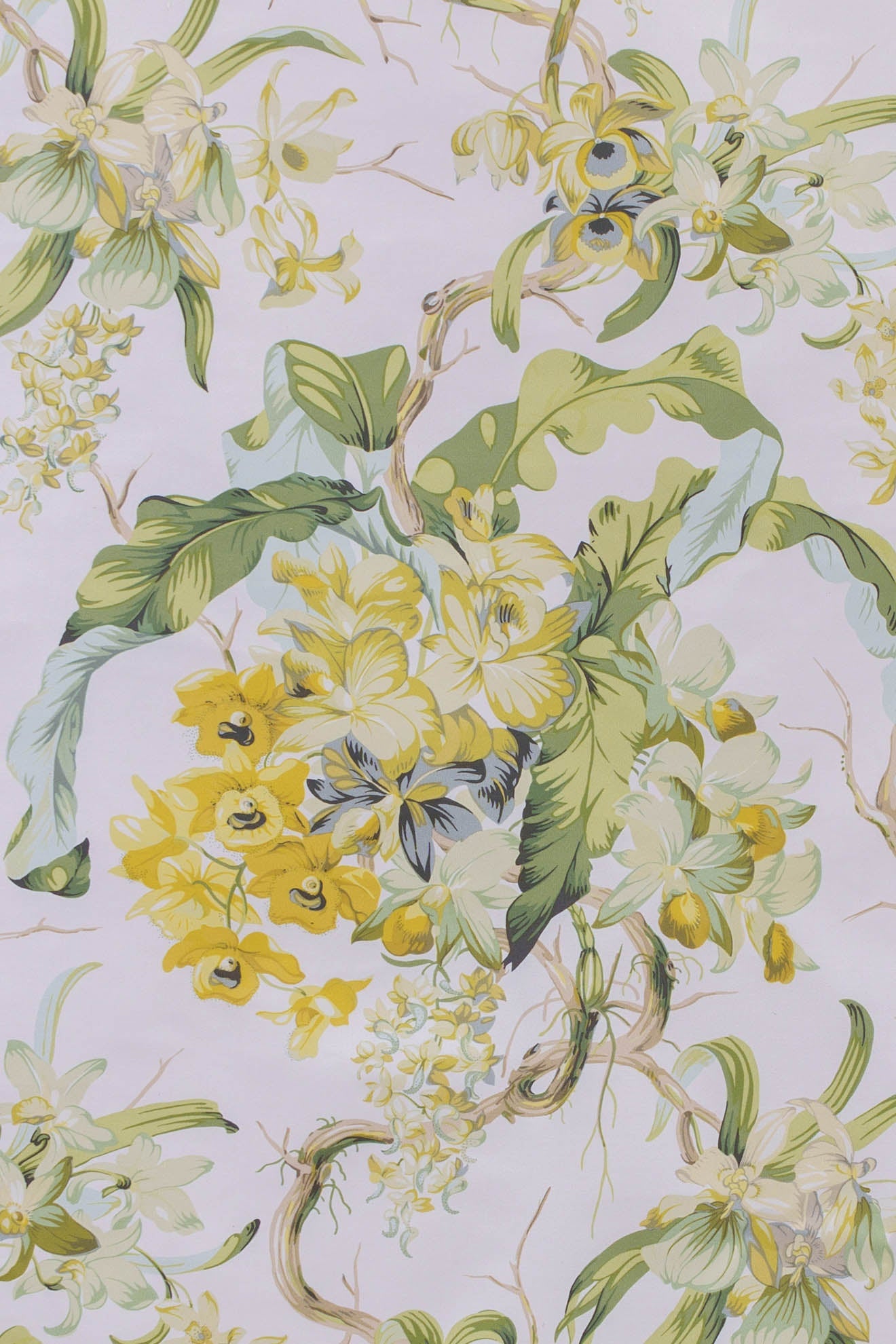 jm-1061 lime/white_LES ORCHIDEES