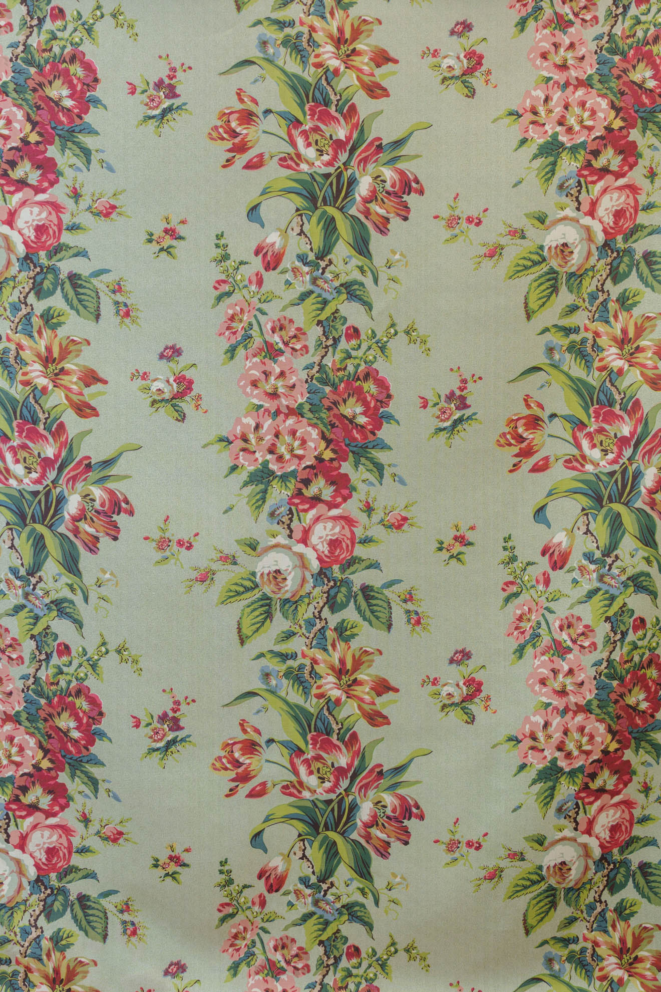 jm-1073 aloe_MANSFIELD