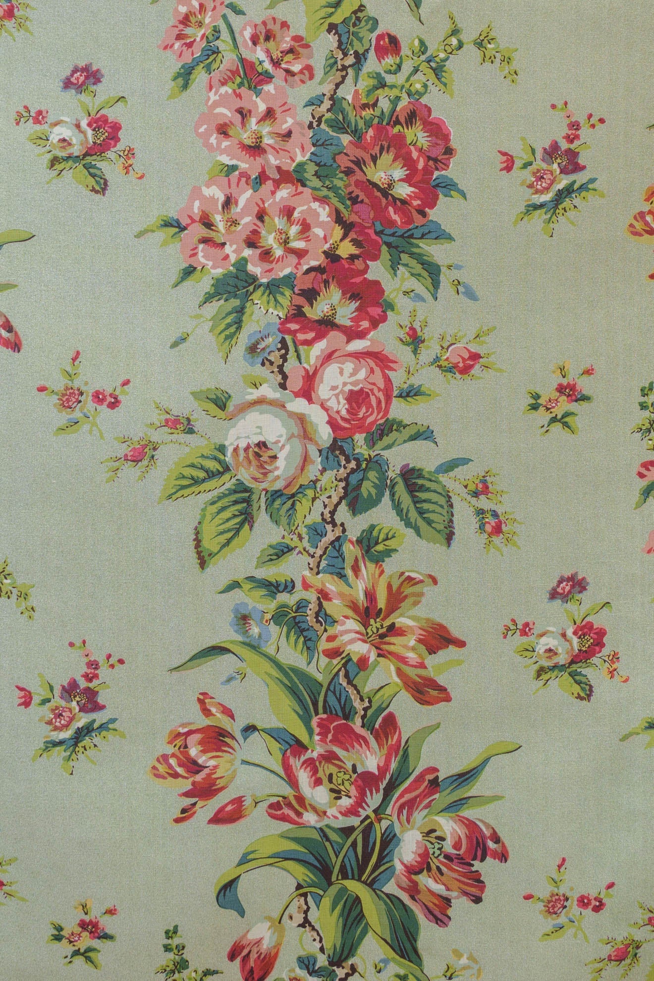 jm-1073 aloe_MANSFIELD