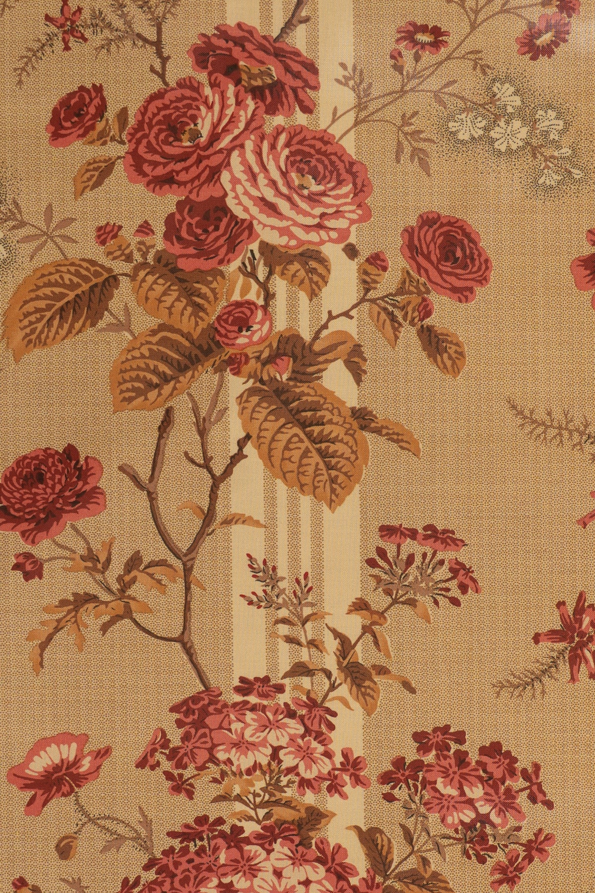 jm-913 rose/tan_AMELIA