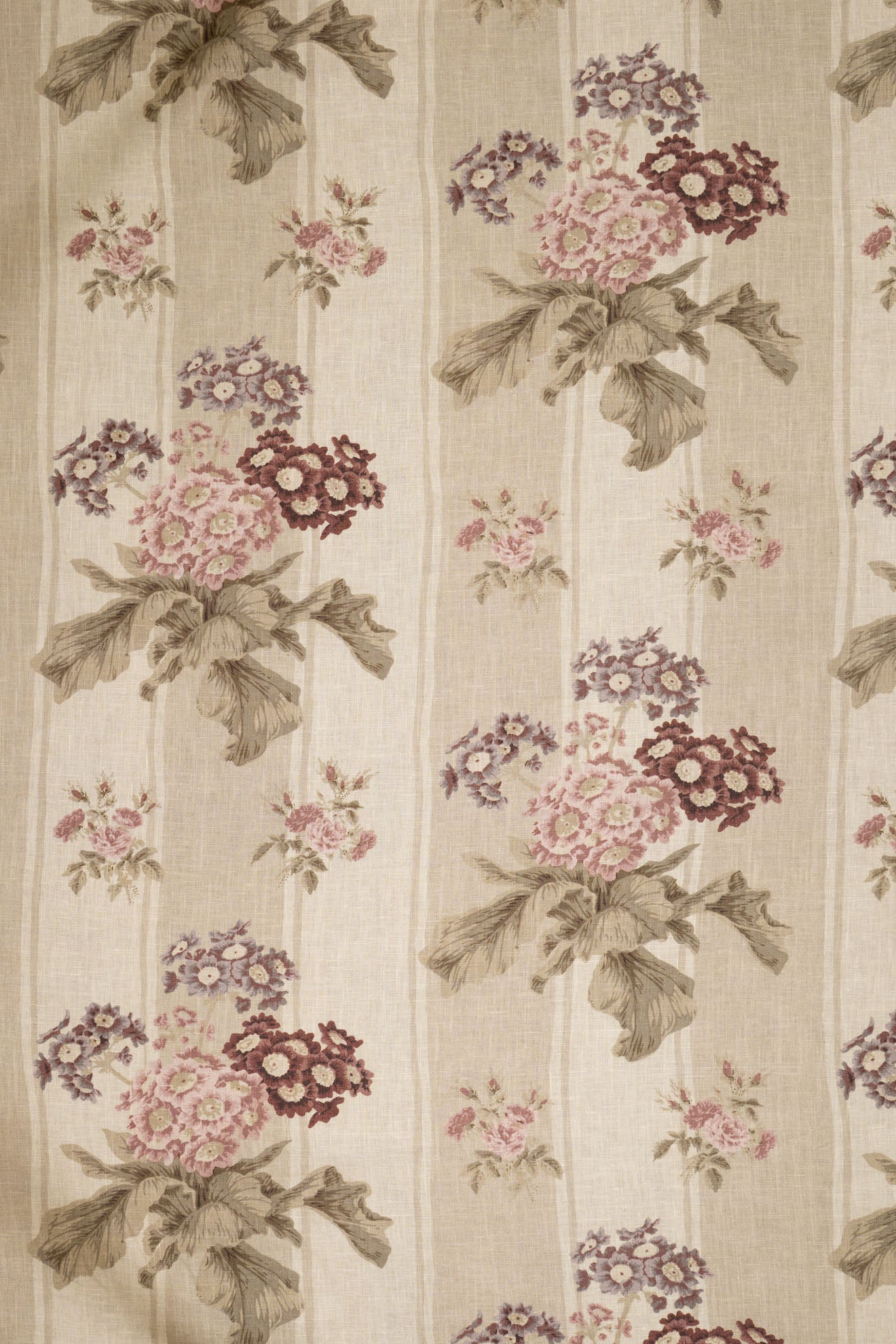 jm-1171 coffee-stripe_AURICULA