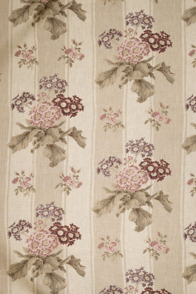 jm-1171 coffee-stripe_AURICULA