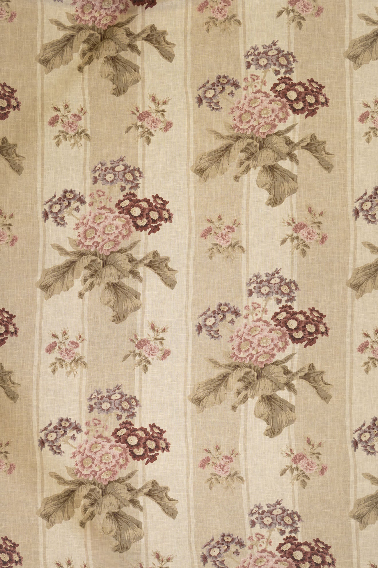 jm-1171 coffee-stripe_AURICULA