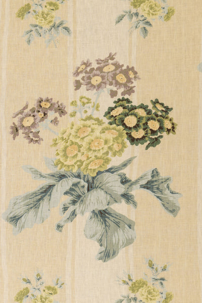 jm-1172 cream-stripe_AURICULA