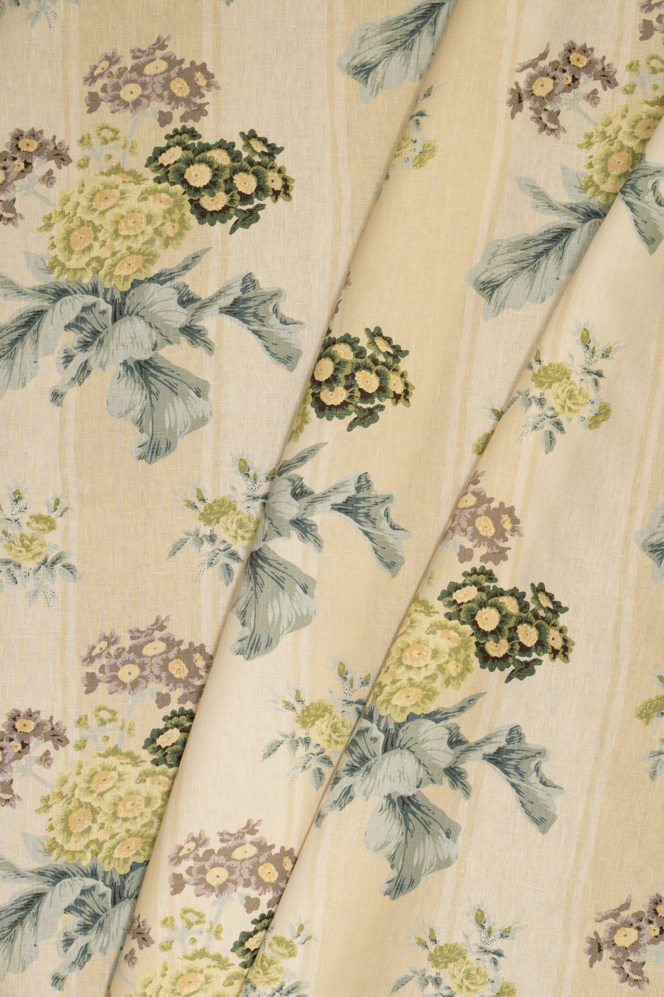 jm-1172 cream-stripe_AURICULA