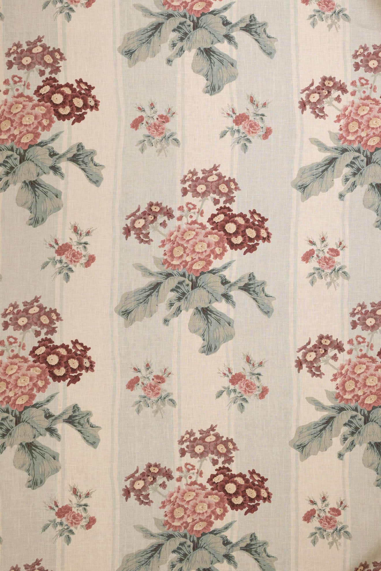 jm-1170 duck-egg-stripe_AURICULA