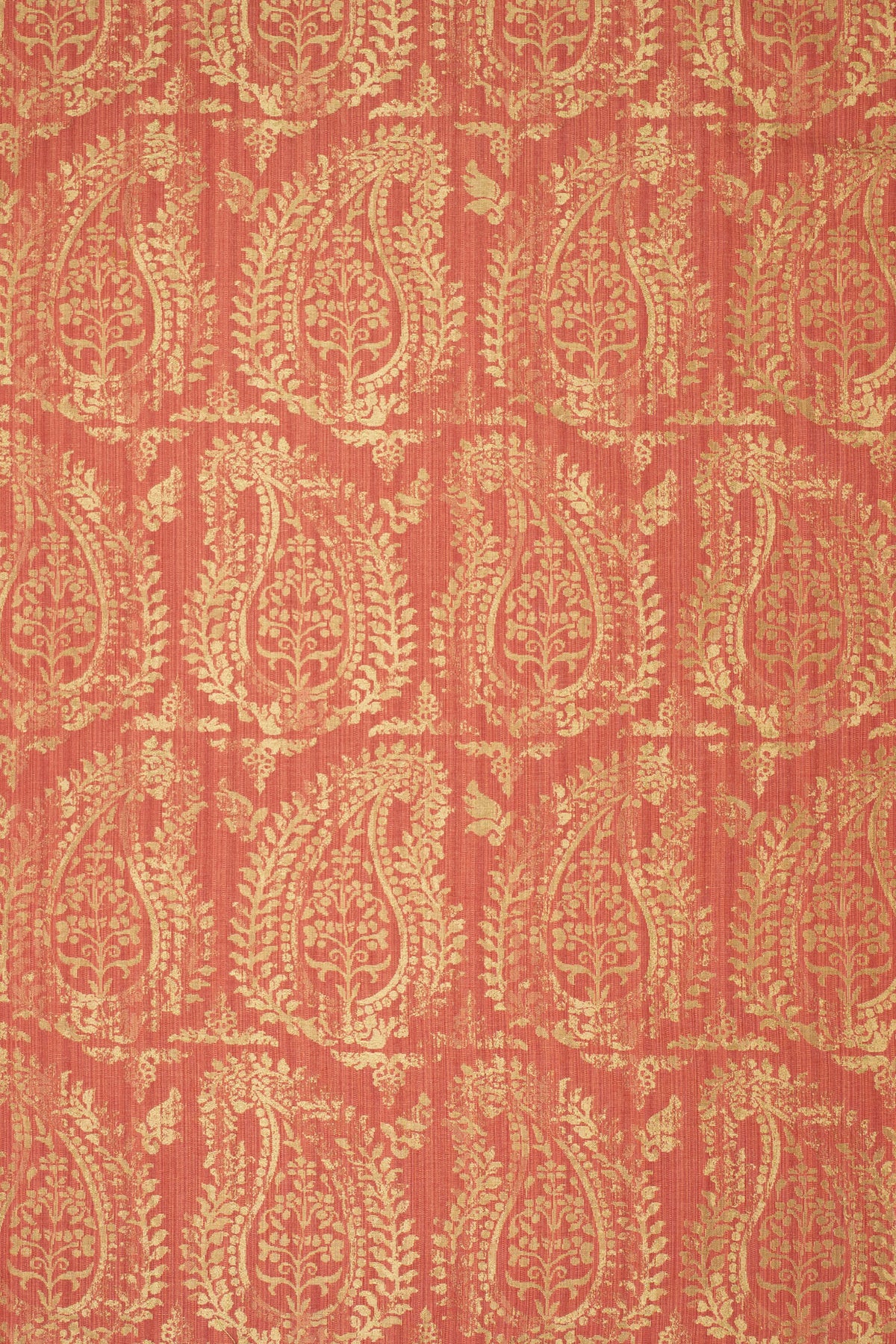 rsc-2001-2 campari_BERNARDO PAISLEY