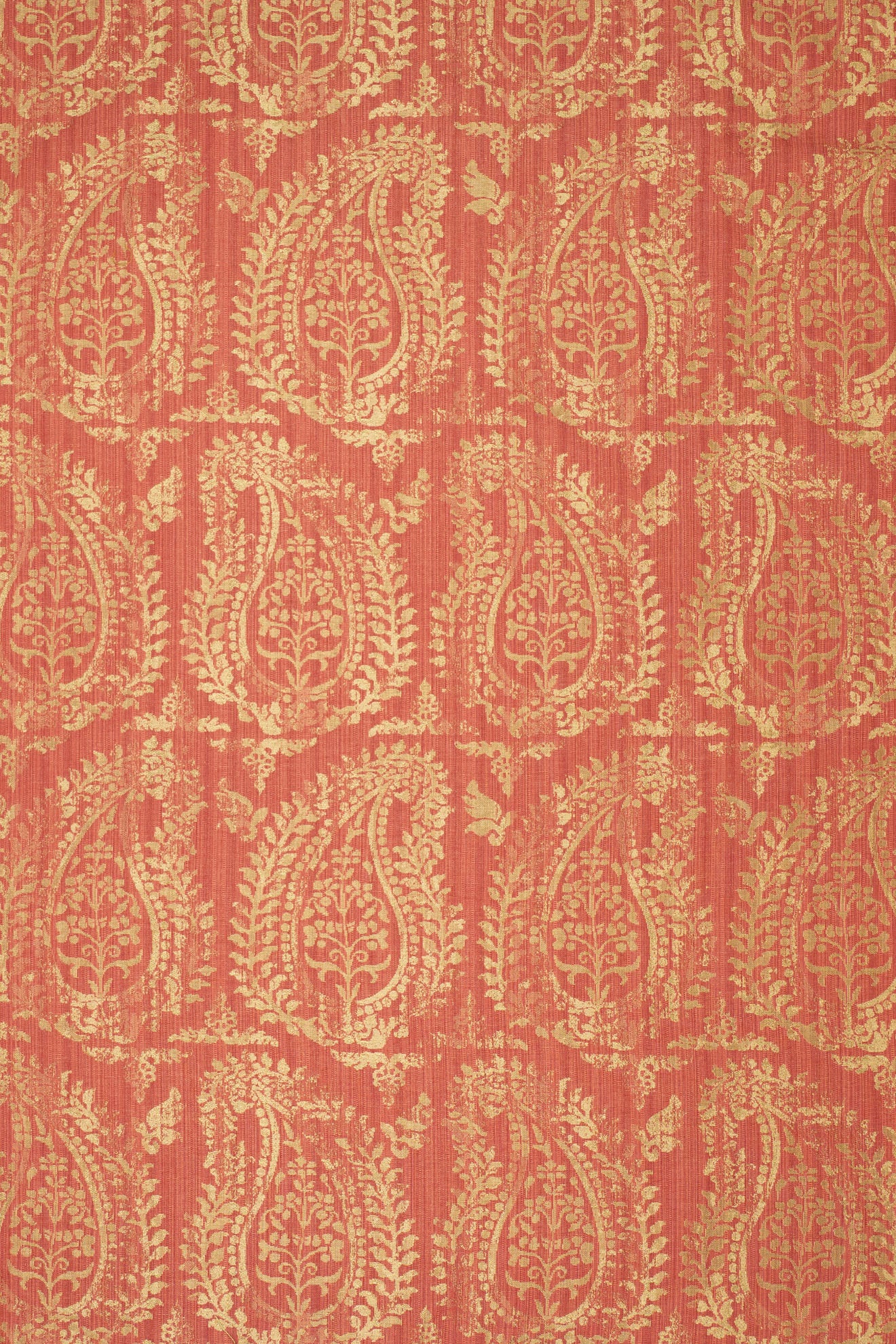 rsc-2001-2 campari_BERNARDO PAISLEY