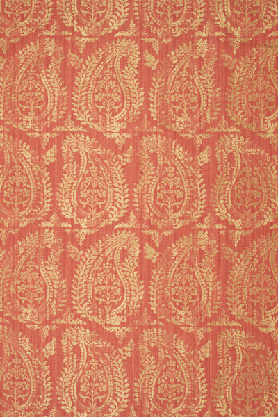 rsc-2001-2 campari_BERNARDO PAISLEY