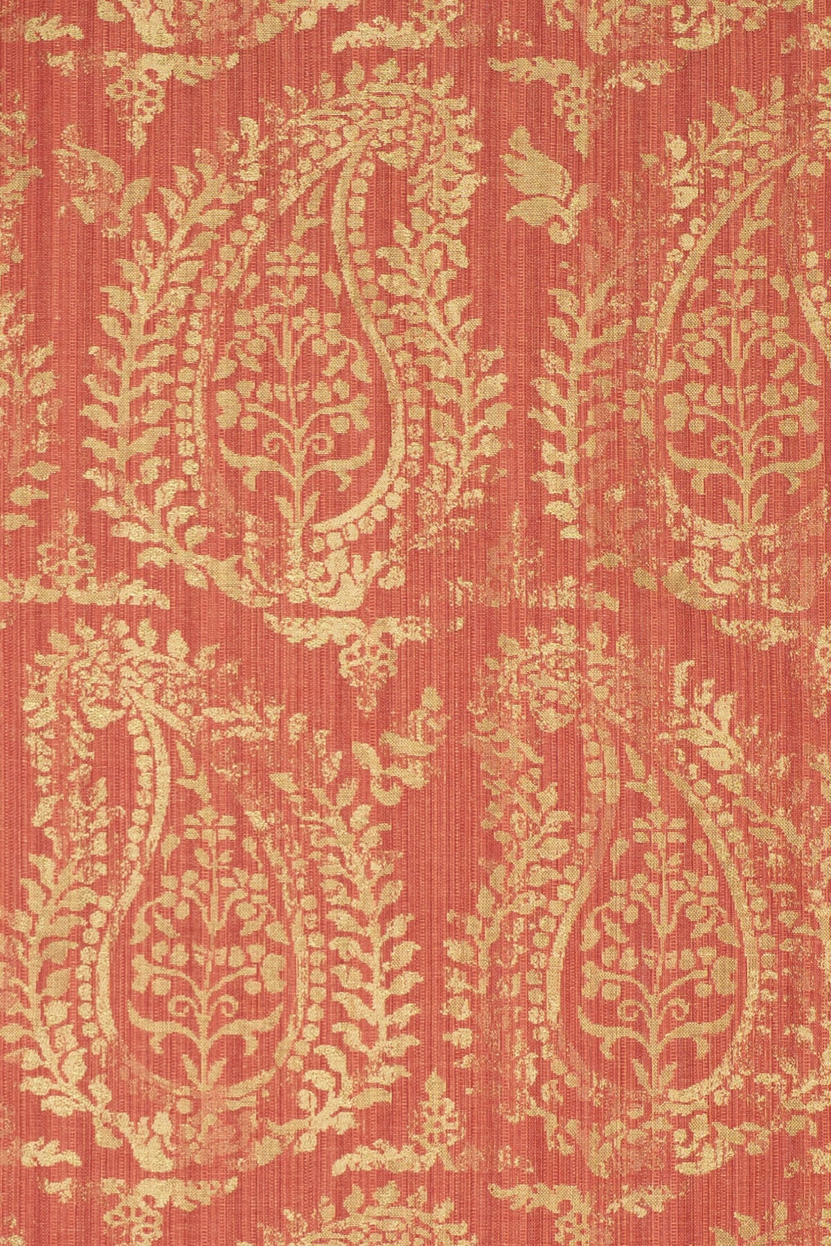 rsc-2001-2 campari_BERNARDO PAISLEY