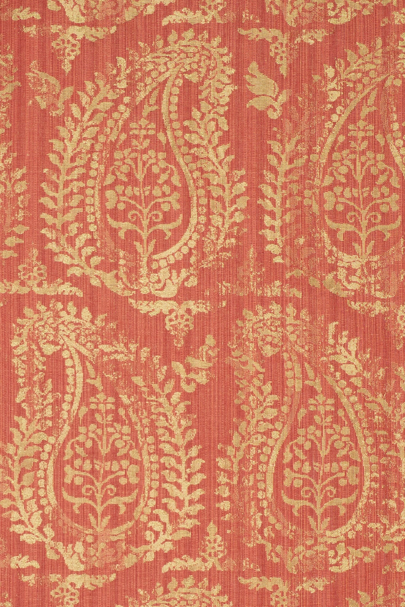 rsc-2001-2 campari_BERNARDO PAISLEY