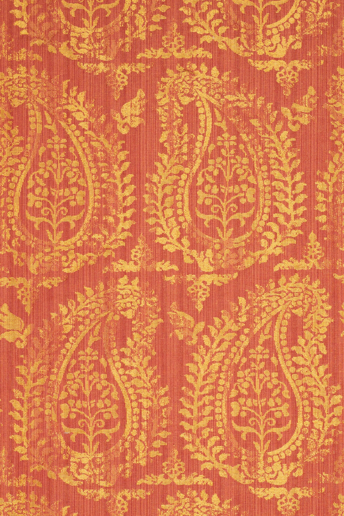 rsc-2001-2 campari_BERNARDO PAISLEY