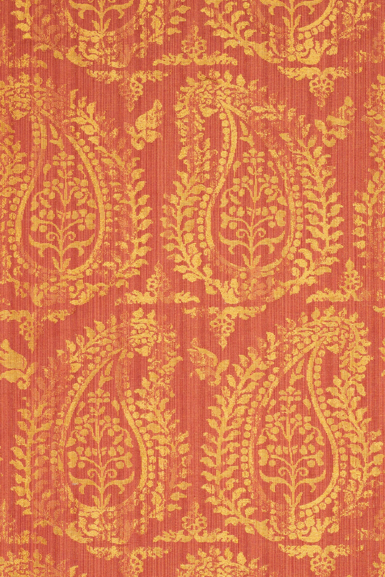 rsc-2001-2 campari_BERNARDO PAISLEY
