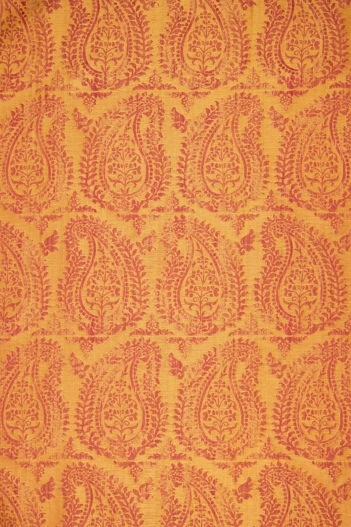 rsc-2001-2 campari_BERNARDO PAISLEY