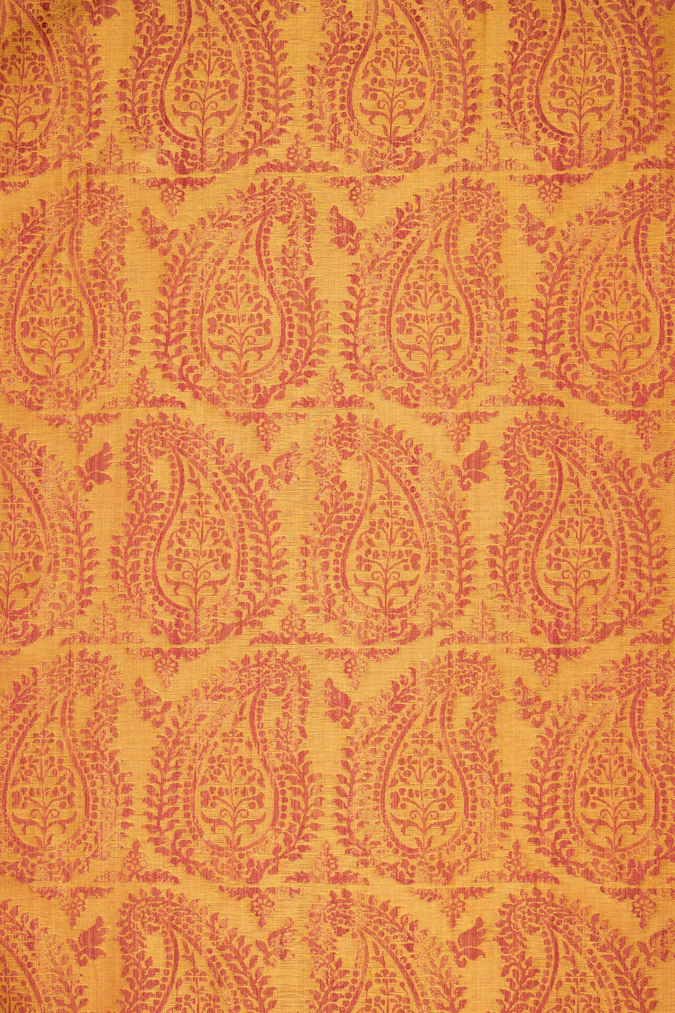 rsc-2001-2 campari_BERNARDO PAISLEY