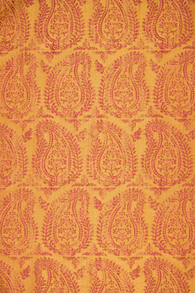 rsc-2001-2 campari_BERNARDO PAISLEY