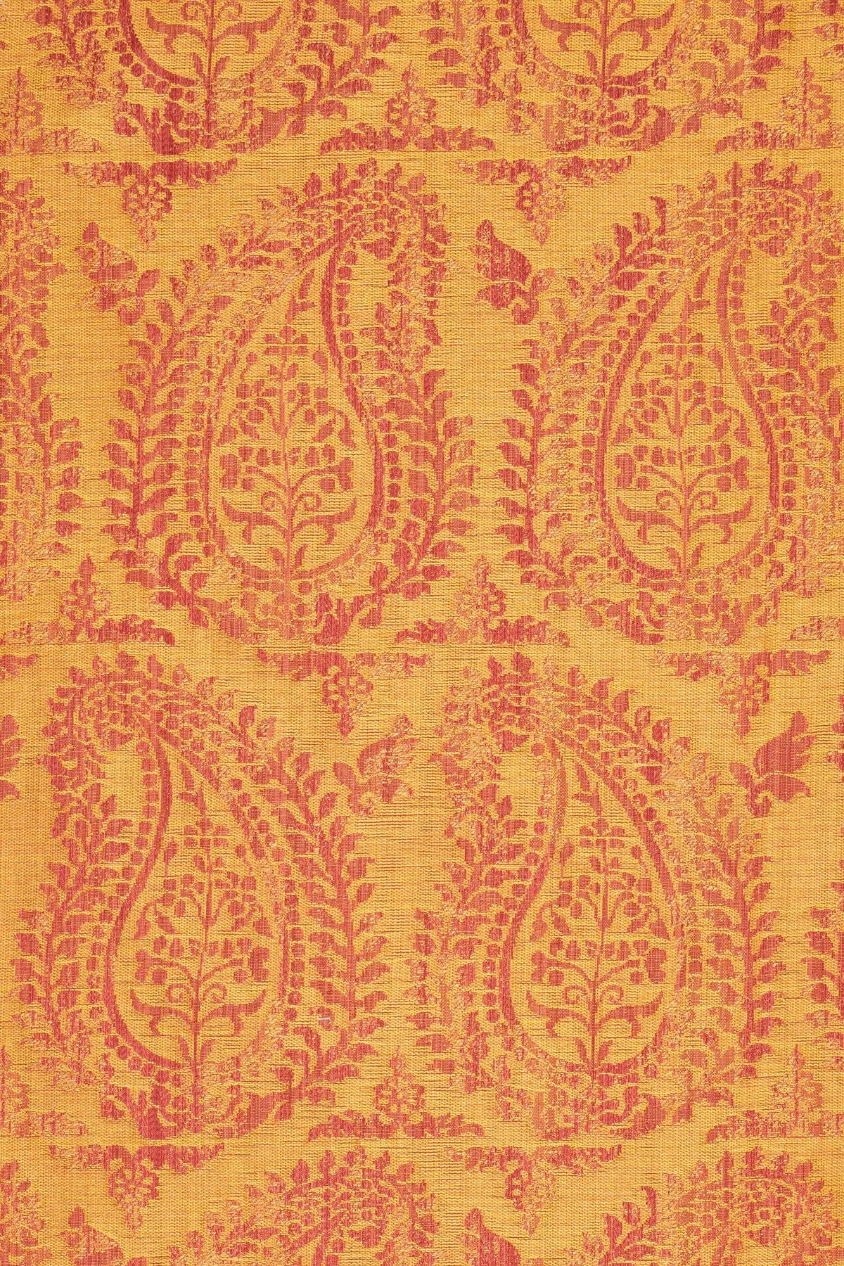 rsc-2001-2 campari_BERNARDO PAISLEY
