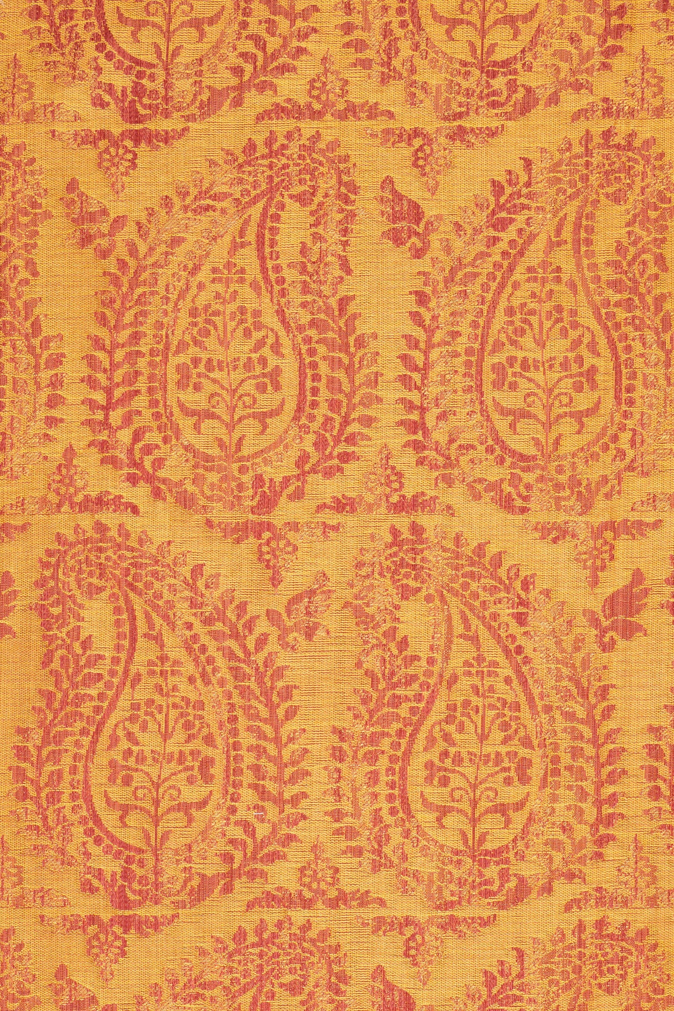 rsc-2001-2 campari_BERNARDO PAISLEY