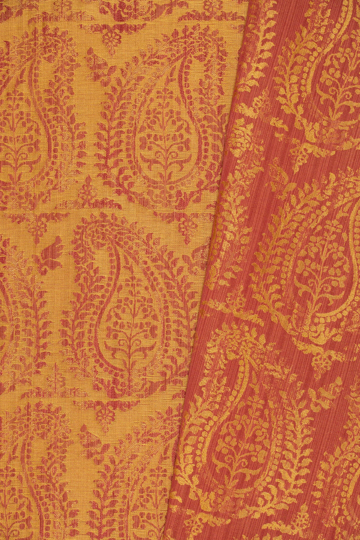 rsc-2001-2 campari_BERNARDO PAISLEY