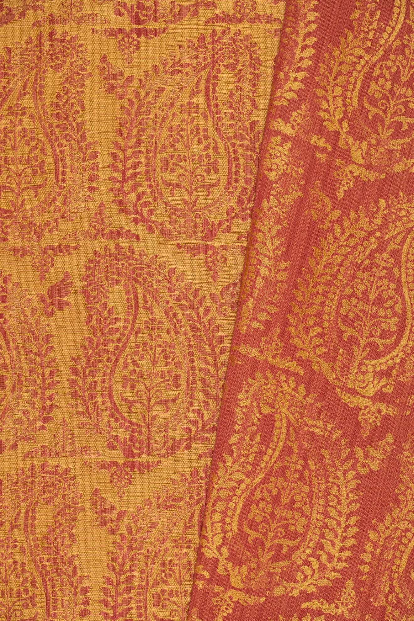rsc-2001-2 campari_BERNARDO PAISLEY