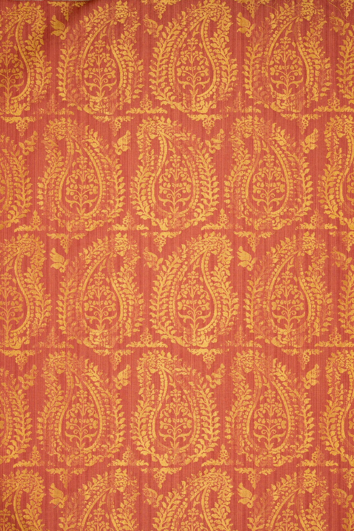 rsc-2001-2 campari_BERNARDO PAISLEY