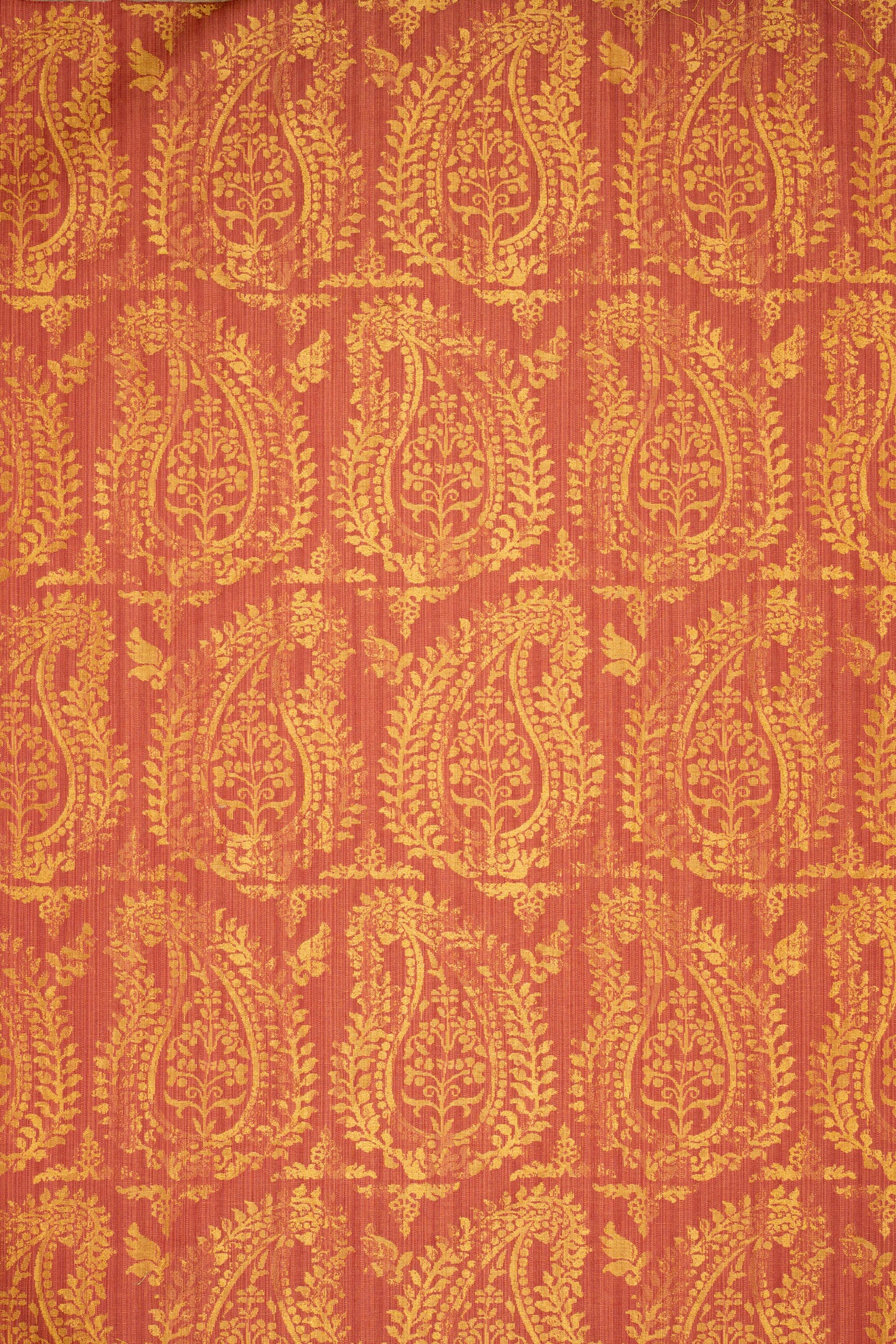 rsc-2001-2 campari_BERNARDO PAISLEY