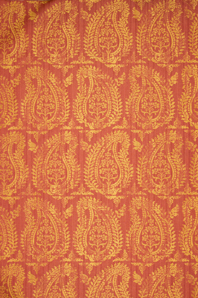 rsc-2001-2 campari_BERNARDO PAISLEY