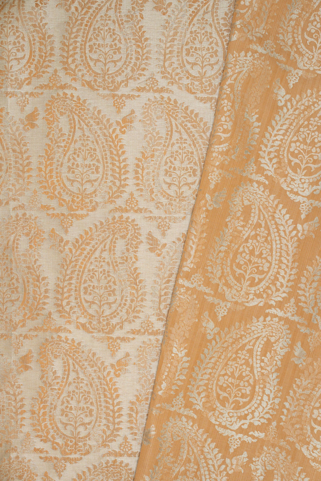 rsc-2001-12 carrara_BERNARDO PAISLEY