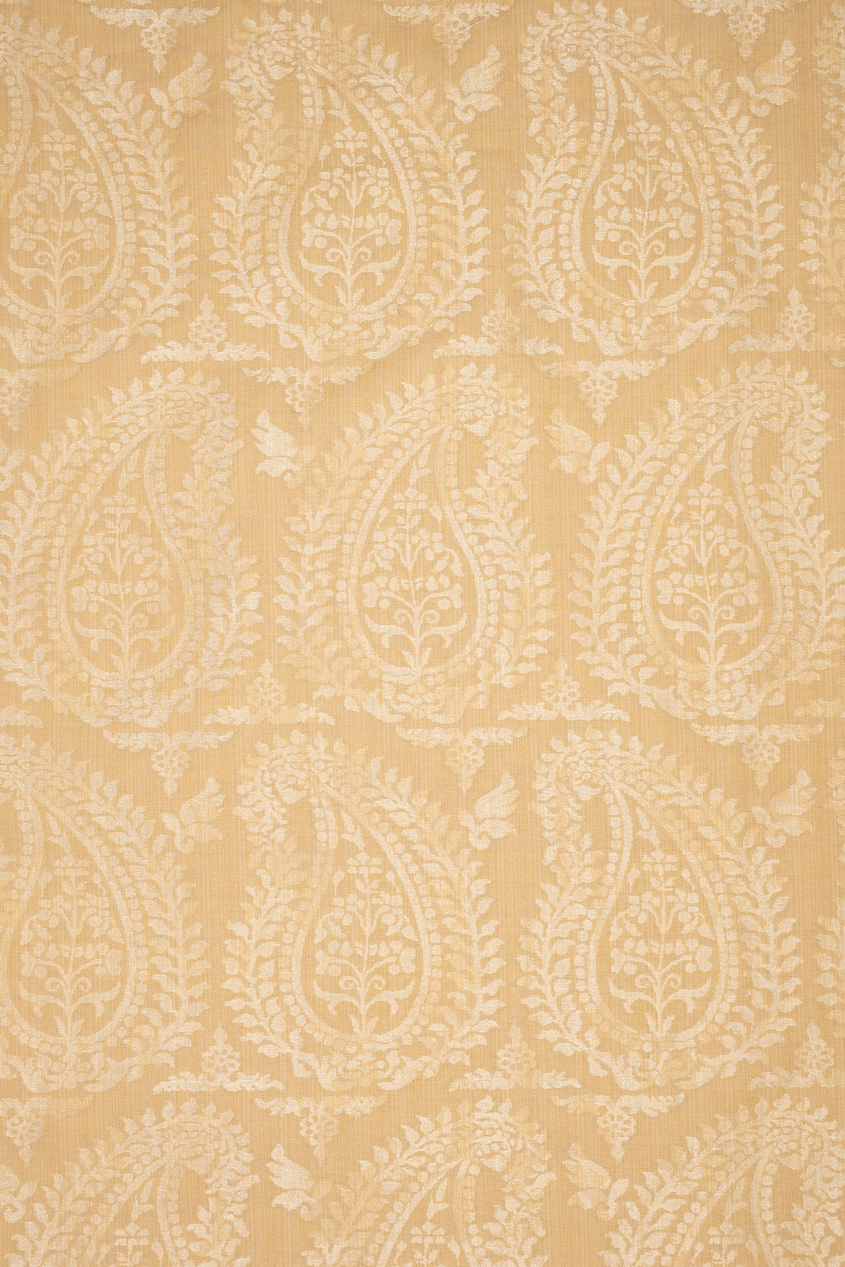 rsc-2001-12 carrara_BERNARDO PAISLEY