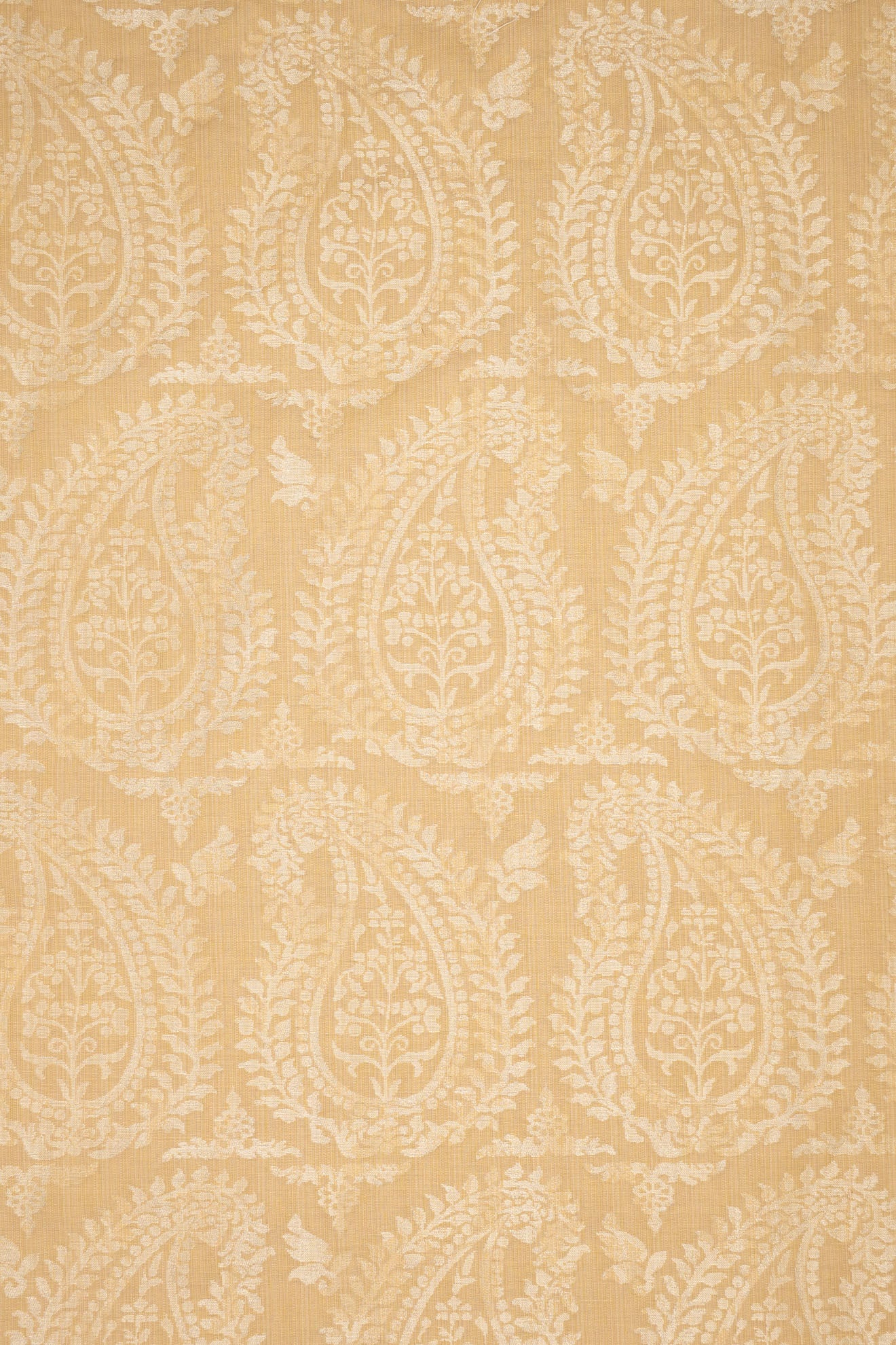 rsc-2001-12 carrara_BERNARDO PAISLEY
