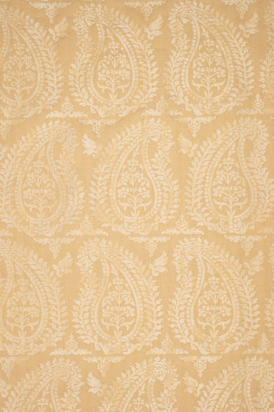 rsc-2001-12 carrara_BERNARDO PAISLEY