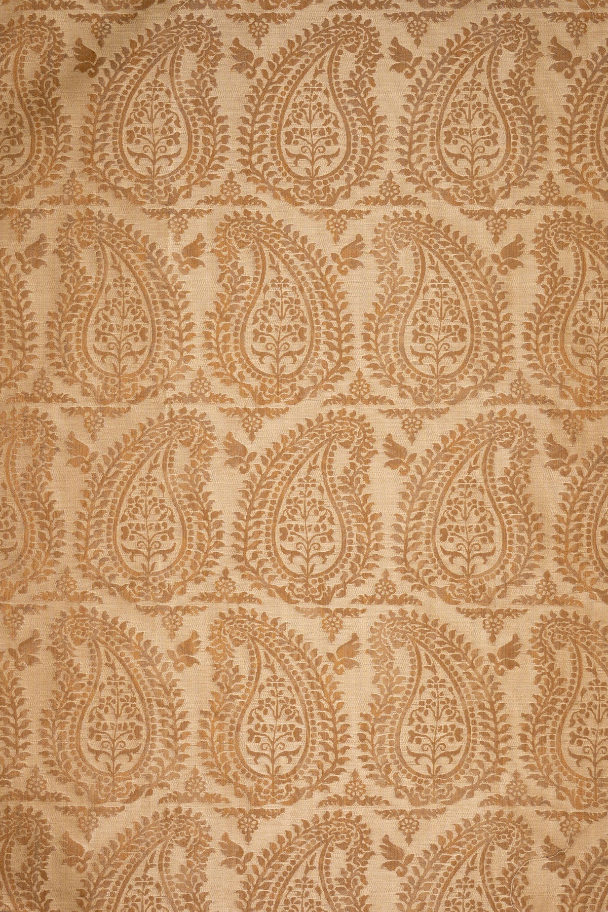 rsc-2001-10 dune_BERNARDO PAISLEY