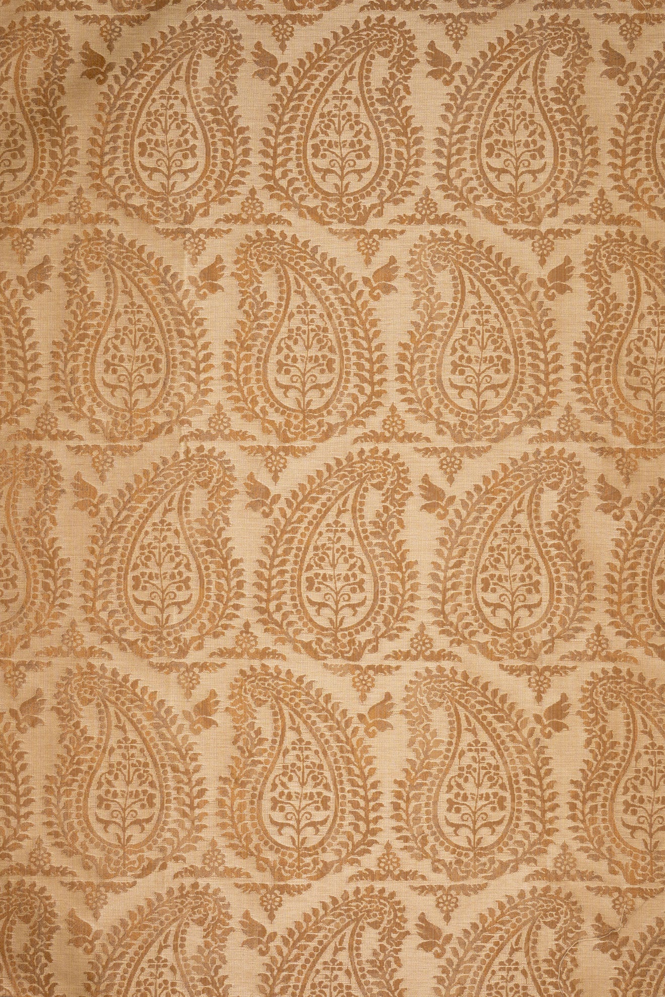 rsc-2001-10 dune_BERNARDO PAISLEY