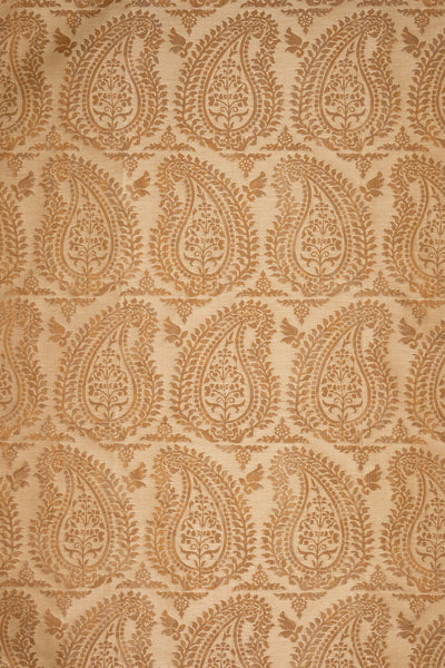 rsc-2001-10 dune_BERNARDO PAISLEY