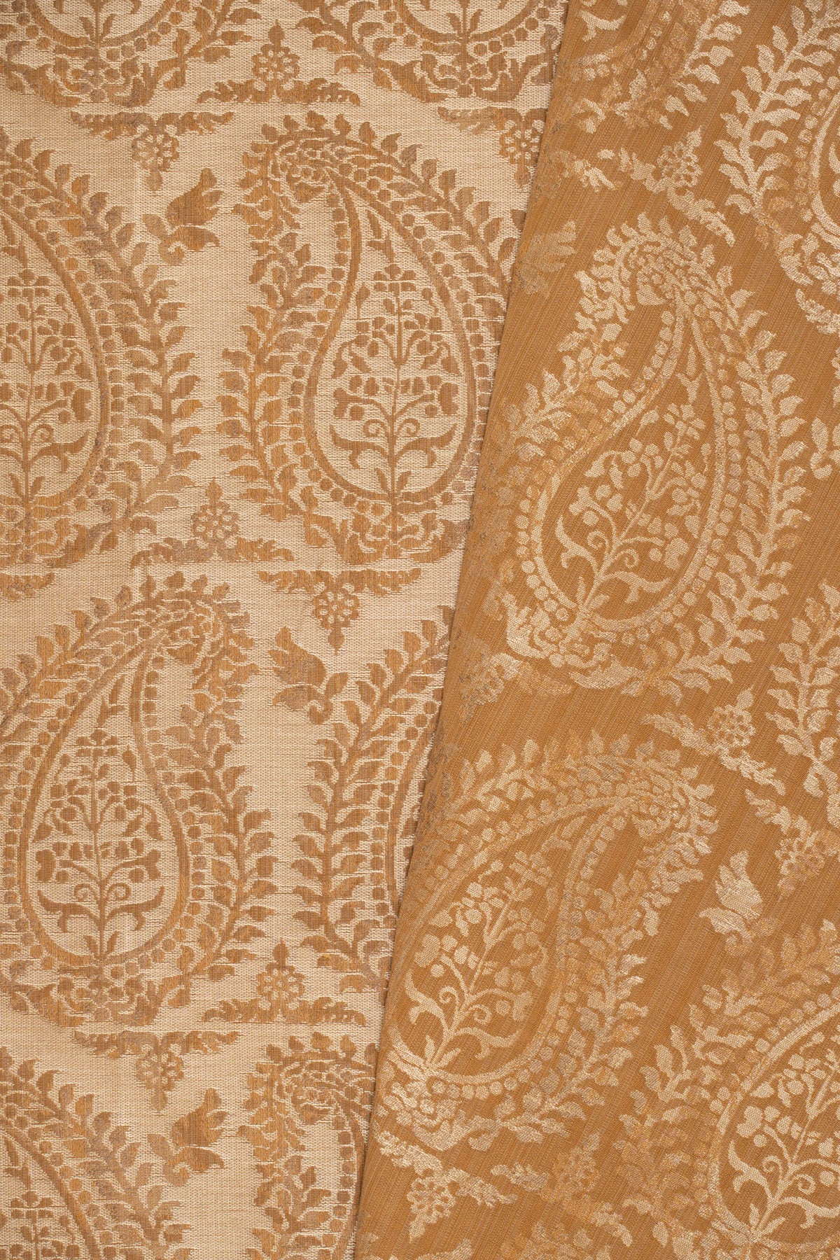 rsc-2001-10 dune_BERNARDO PAISLEY