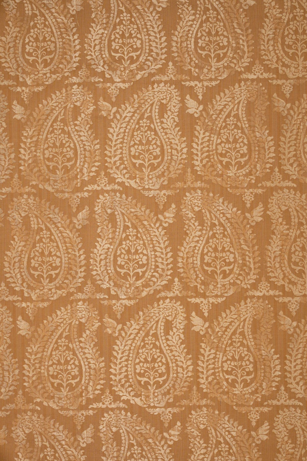 rsc-2001-10 dune_BERNARDO PAISLEY